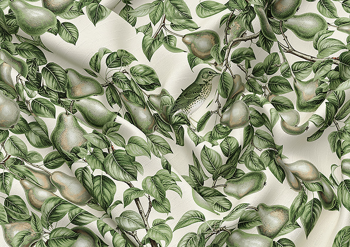 Pears, Coriscon - Roman Blind - Image 4